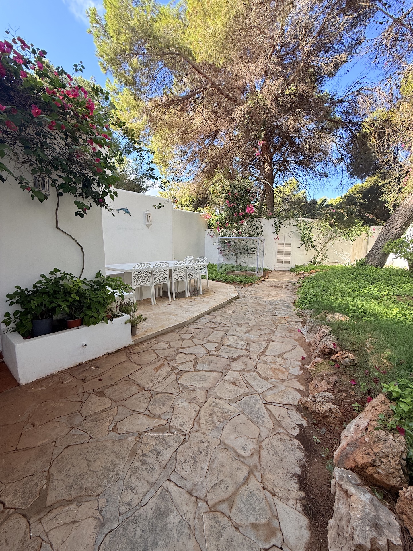 Resa Estates for sale te koop project Cala Tarida Ibiza pool garden.jpeg